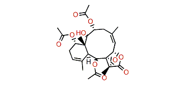 Briarlide R